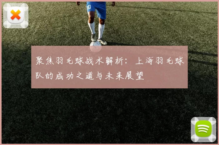聚焦羽毛球战术解析：上海羽毛球队的成功之道与未来展望