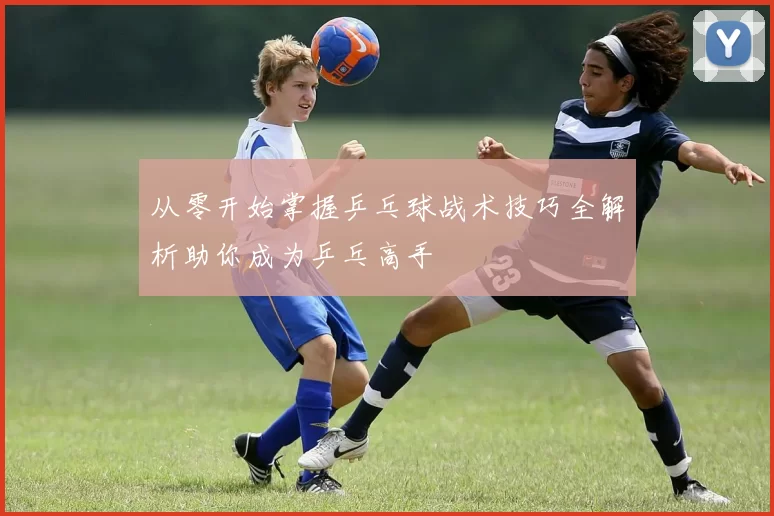 从零开始掌握乒乓球战术技巧全解析助你成为乒乓高手