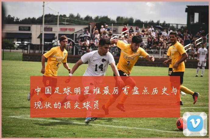中国足球明星谁最厉害盘点历史与现状的顶尖球员