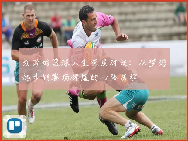 刘芳的篮球人生深度对话：从梦想起步到赛场辉煌的心路历程