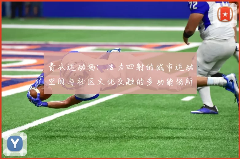 青衣运动场：活力四射的城市运动空间与社区文化交融的多功能场所