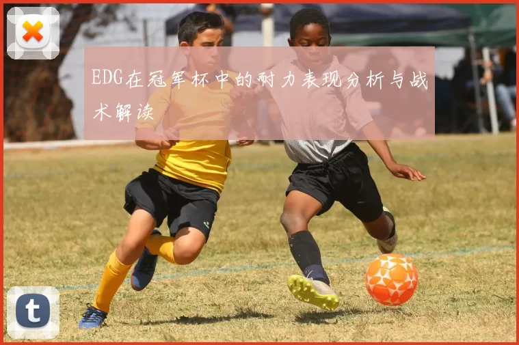 EDG在冠军杯中的耐力表现分析与战术解读