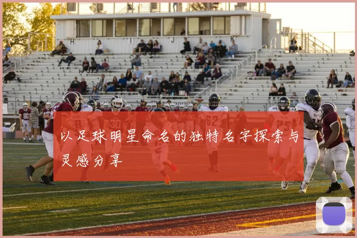 以足球明星命名的独特名字探索与灵感分享