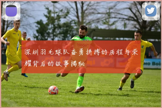 深圳羽毛球队奋勇拼搏的历程与荣耀背后的故事揭秘