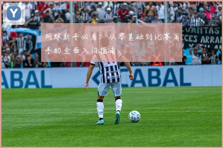 网球新手必看：从零基础到比赛高手的全面入门指南