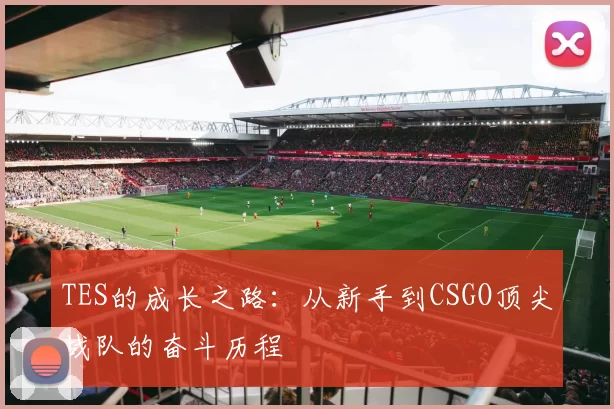 TES的成长之路：从新手到CSGO顶尖战队的奋斗历程