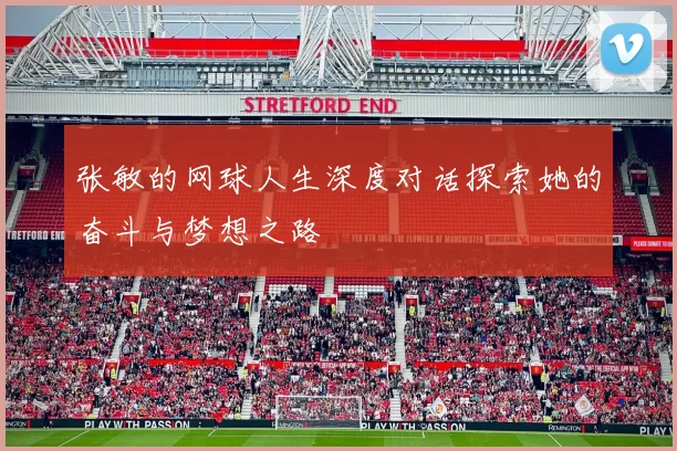 张敏的网球人生深度对话探索她的奋斗与梦想之路