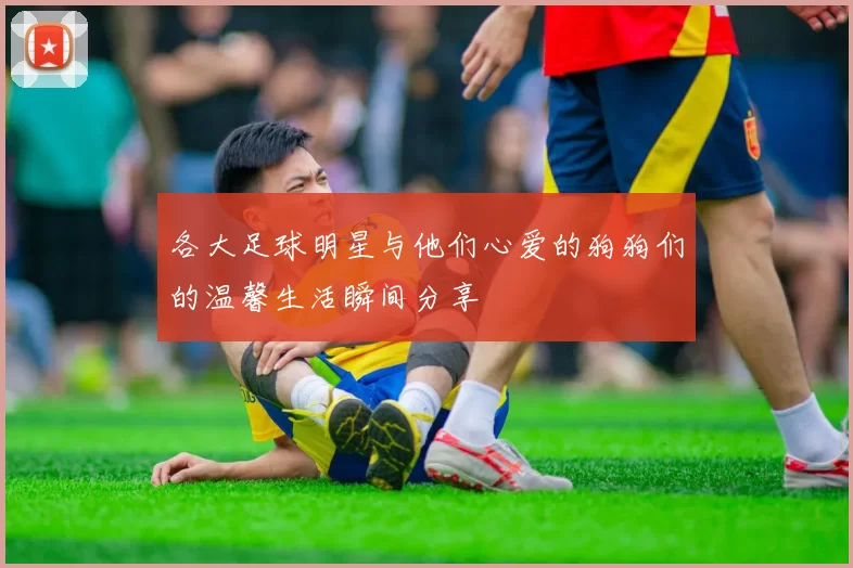 各大足球明星与他们心爱的狗狗们的温馨生活瞬间分享
