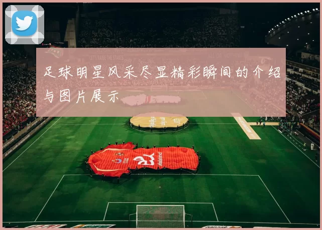 足球明星风采尽显精彩瞬间的介绍与图片展示