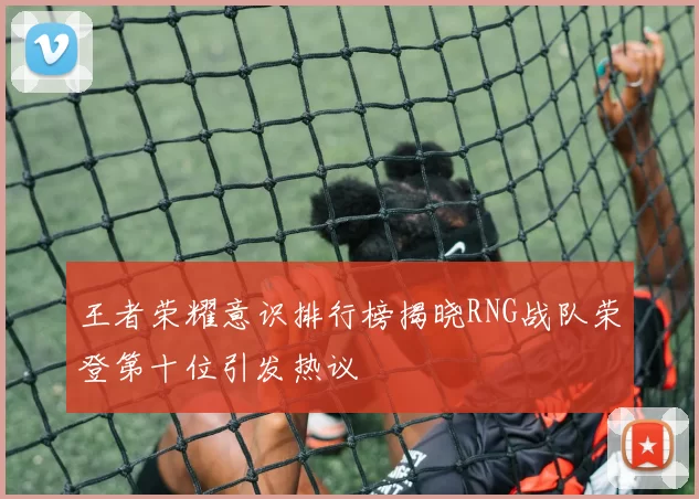 王者荣耀意识排行榜揭晓RNG战队荣登第十位引发热议