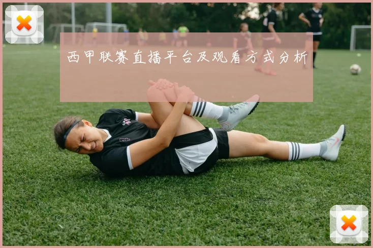 西甲联赛直播平台及观看方式分析