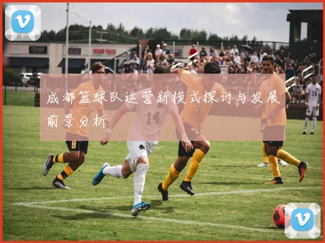 成都篮球队运营新模式探讨与发展前景分析