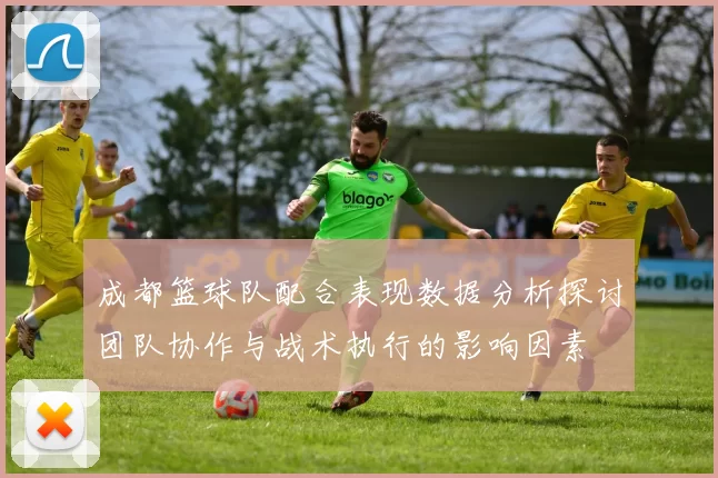 成都篮球队配合表现数据分析探讨团队协作与战术执行的影响因素